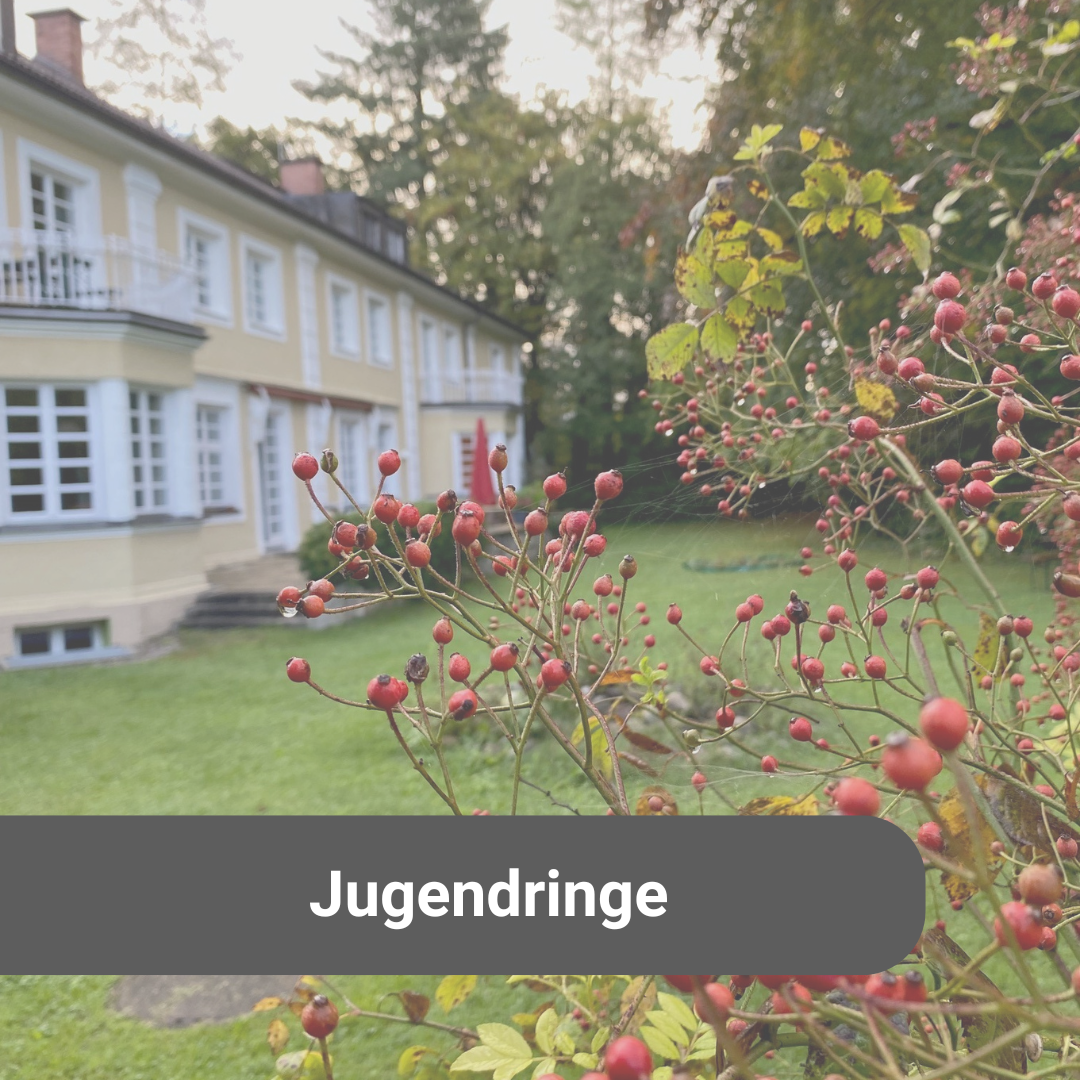 Jugendringe