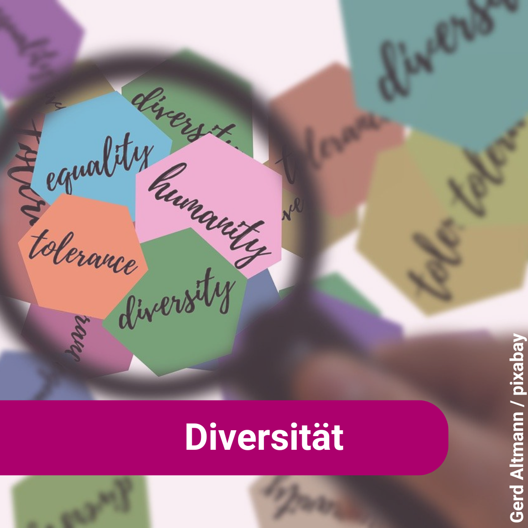 Diversität 2(2)