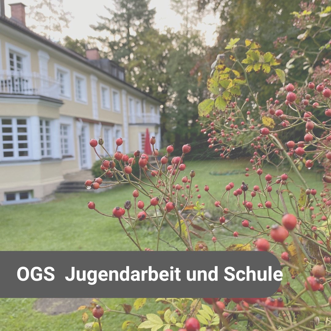 OGS_Jugendarbeit und Schule