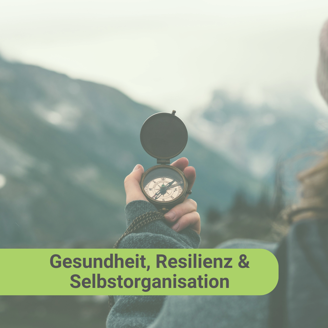 Gesundheit, Resilienz und Selbstorganisation