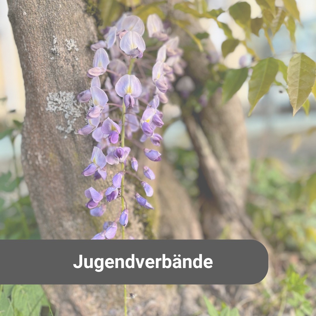 JV_Treffen_Bild