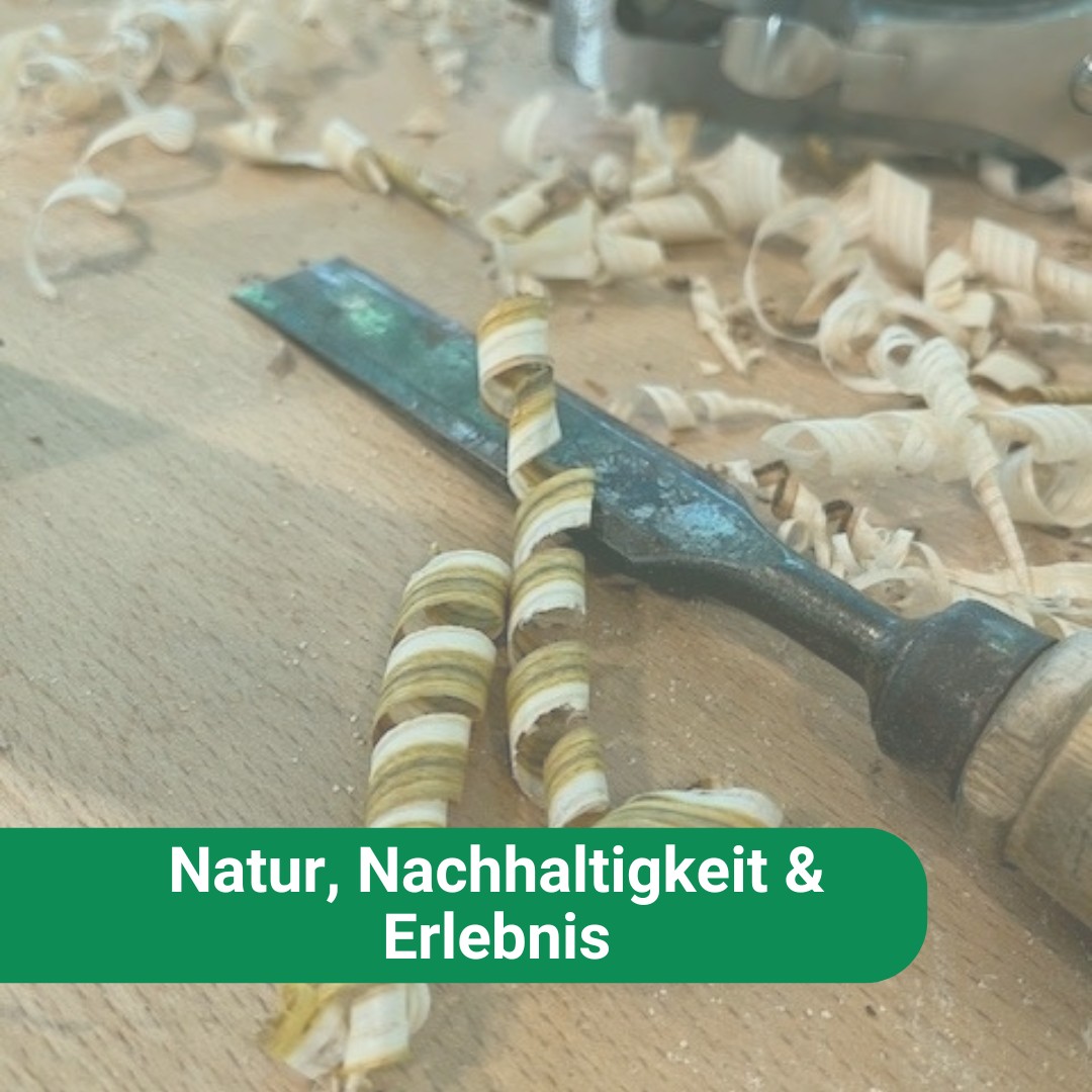 Bogenbau_Neu2