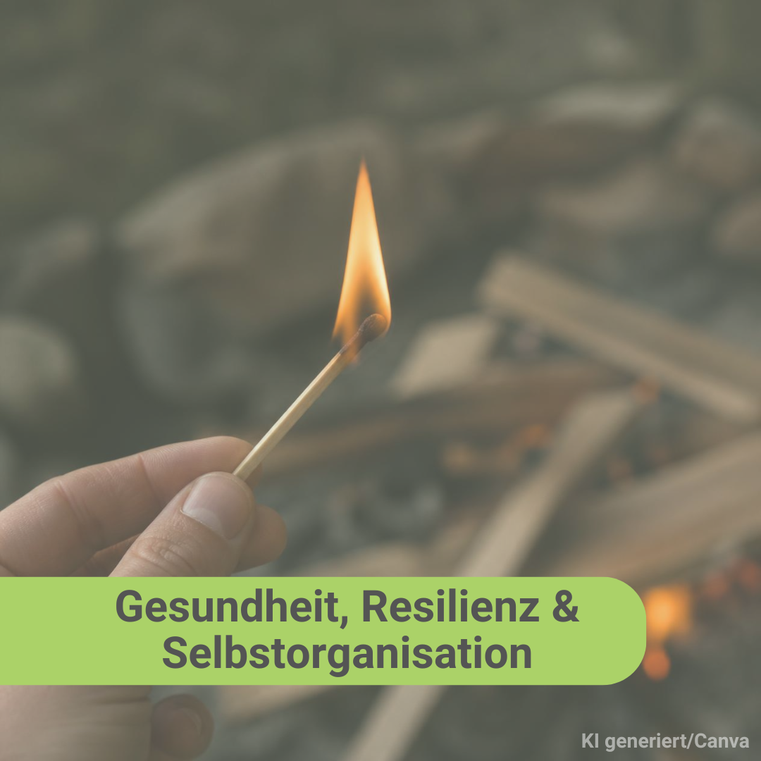 Gesundheit, Resilienz und Selbstorganisation (11)